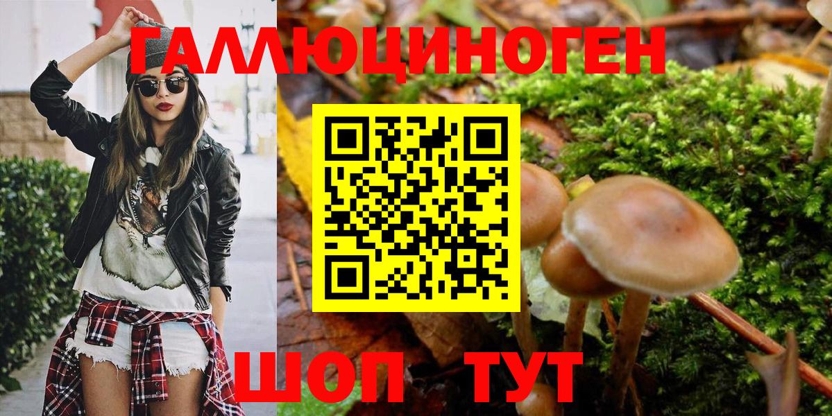 Псилоцибиновые грибы Cubensis  Вход с VPN  Псилоцибиновые грибы Psilocybe  Карпинск 