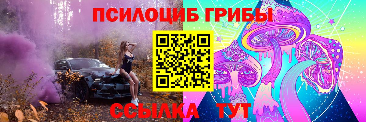 Галлюциногенные грибы прущие грибы Карпинск